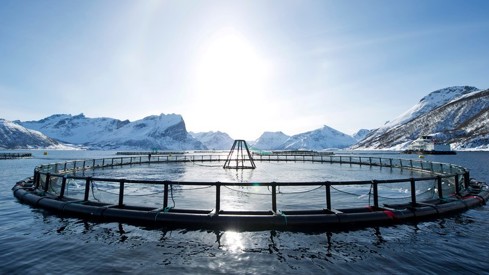 Eit oppdrettsanlegg i sjøen på vinterstid. Credit: Johan Wildhagen Eit oppdrettsanlegg i sjøen