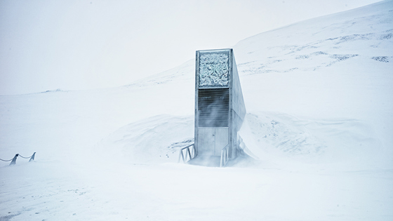 The Svalbard Global Seed Vault is blasted into the rock base of Platåfjellet
