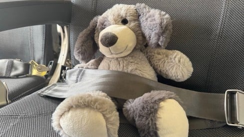 Bamse som er med på flyet for å hente barna fra Gaza. Credit: Forsvaret Bilde av bamse i flysete